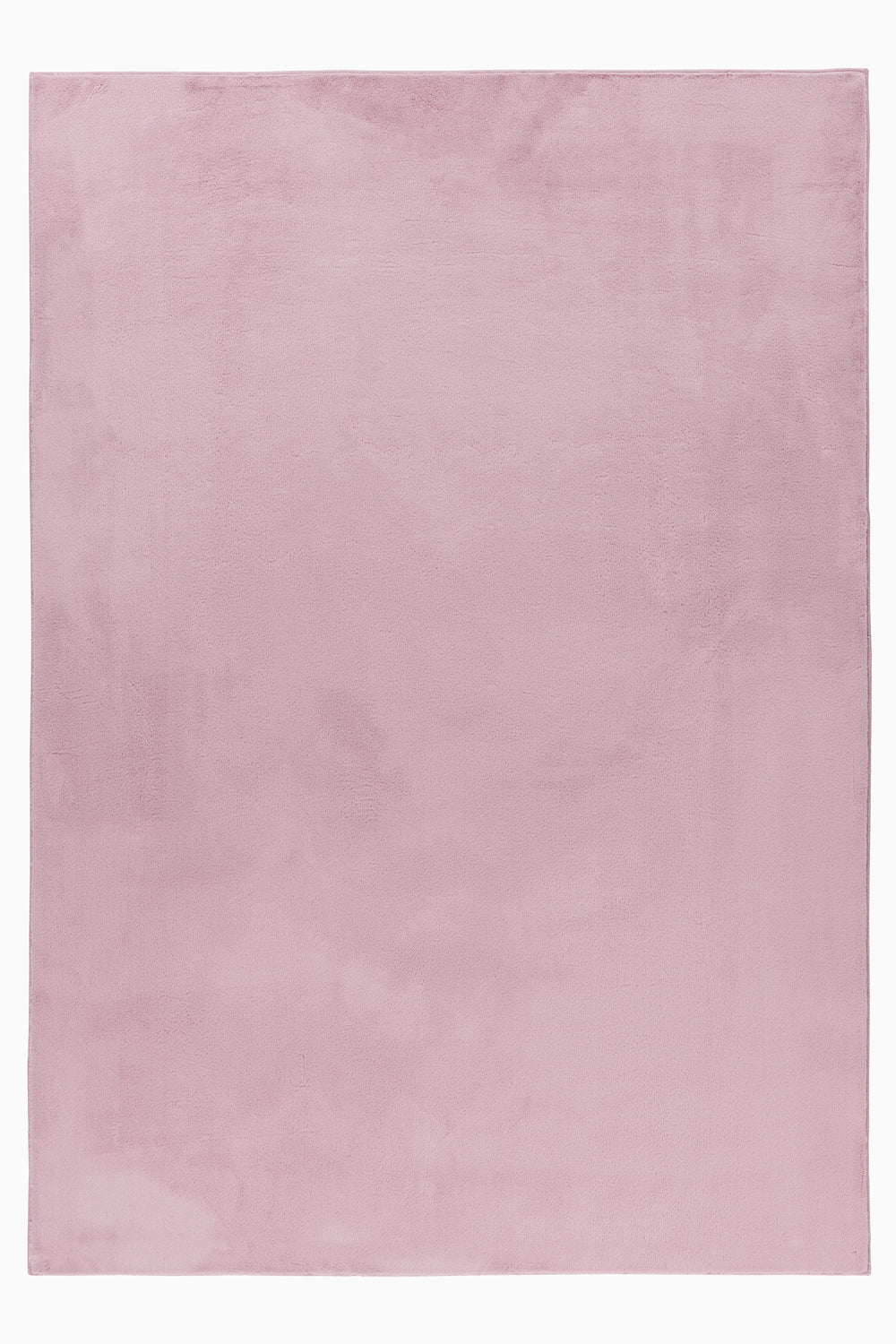 Polly - Rose