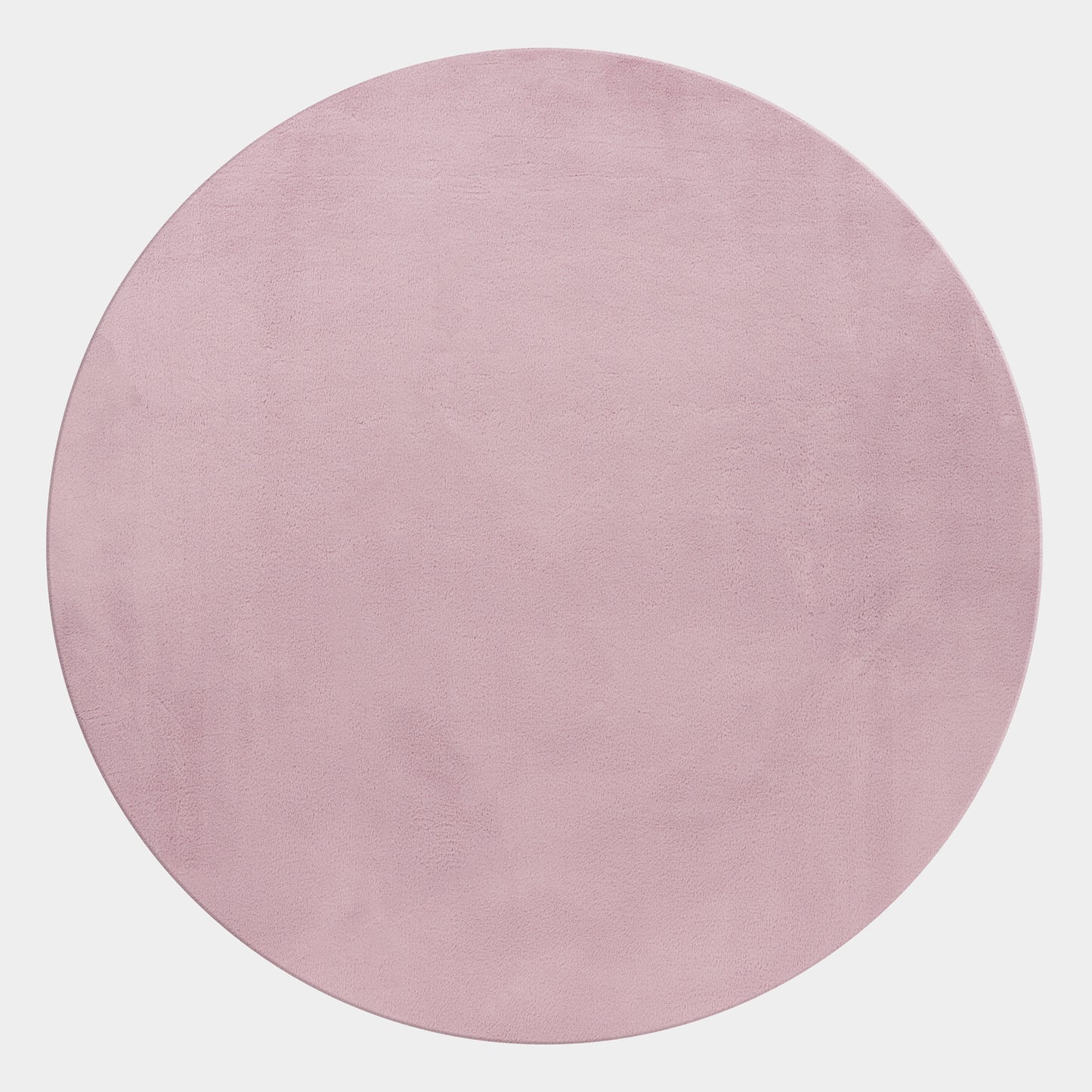 Polly - Rose