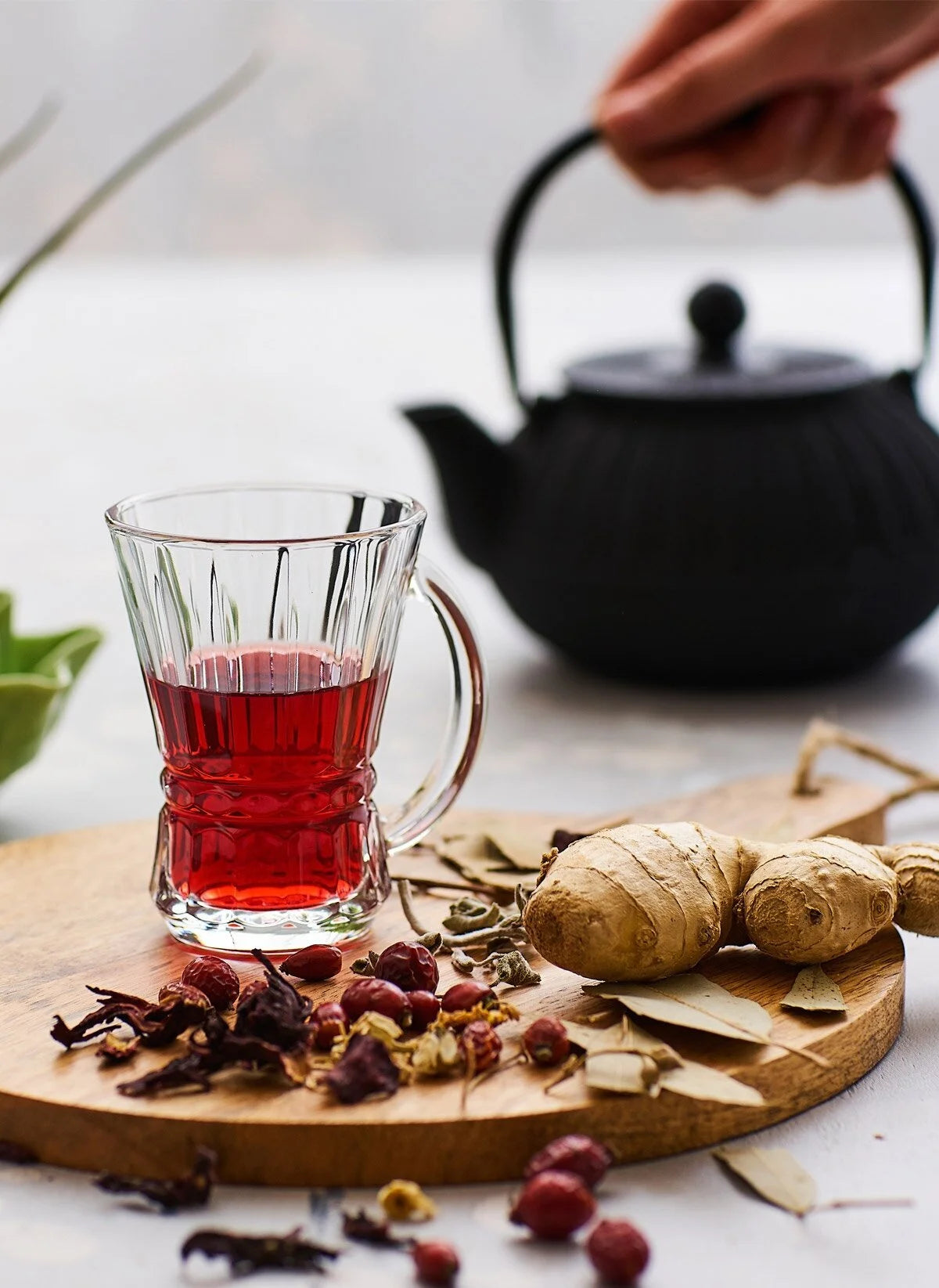 Teglas med Håndtag 6 stk. 150 ml. - LAV Venus