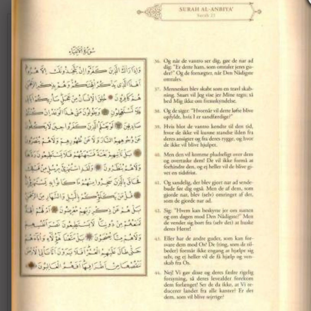 Koranen - Dansk Oversættelse Med Arabisk Tekst - Løven Home