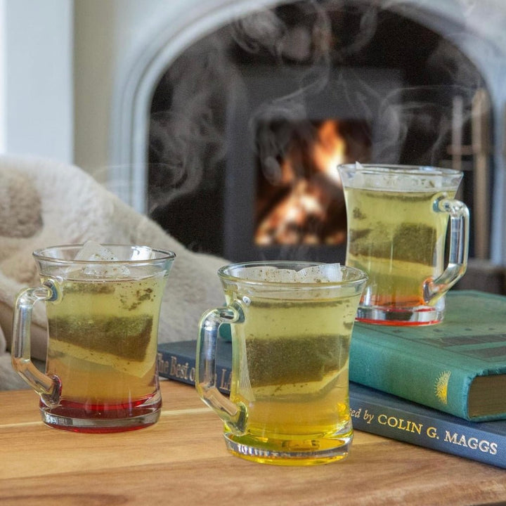 LAV Coral Zen+ Glaskrussæt – 225 ml – Flerfarvet Base | 6 stk. - Løven Home