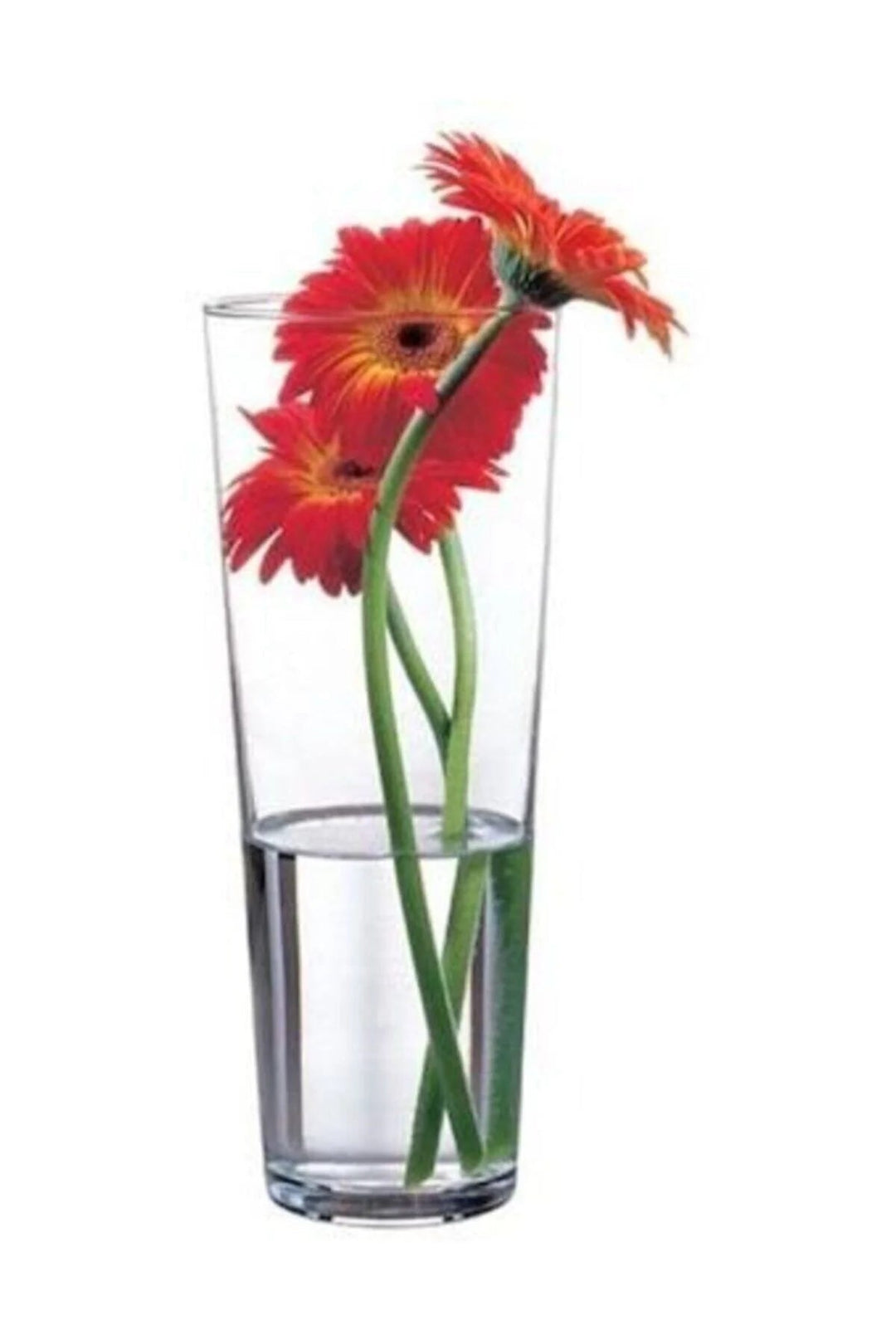 Pasabahce - Botanica Glasvase – 26,5 cm - Løven Home